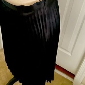 Beautiful pleated skirt.